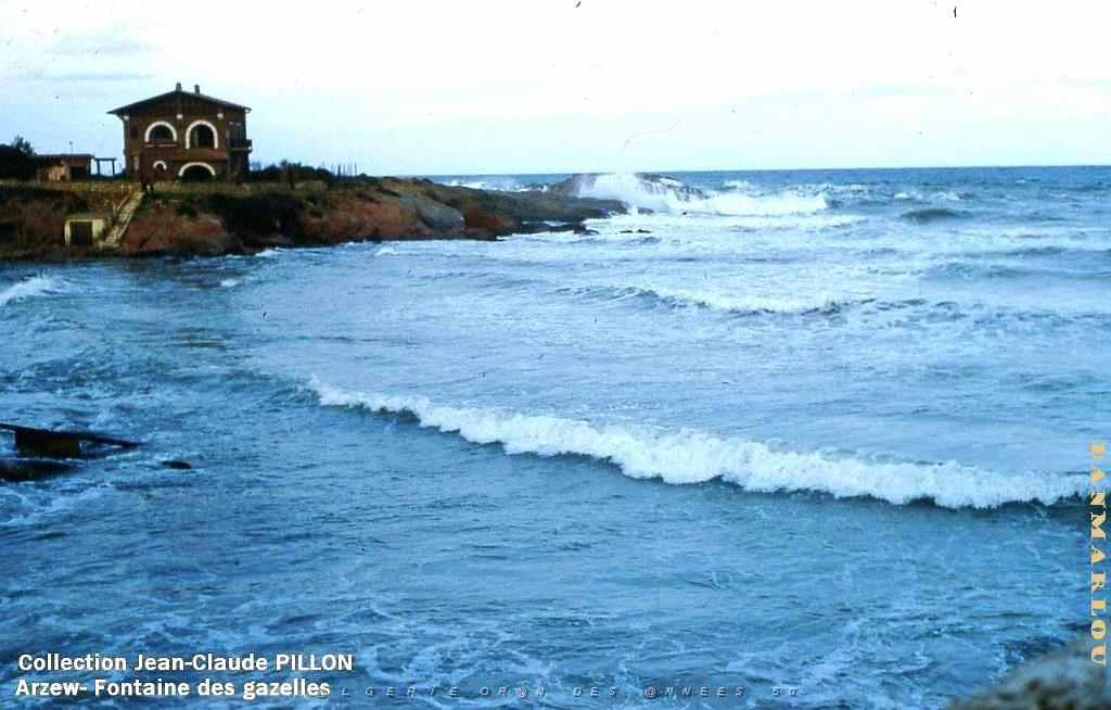 ARZEW 188- PILLON.jpg